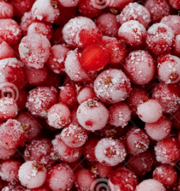 (PO) Frozen Redcurrants - Pittormie