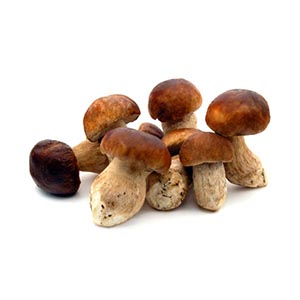 Frozen Ceps 1kg / each