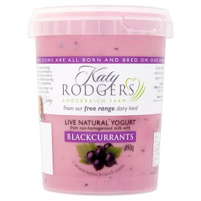 (PO) Blackcurrant Yogurt (6 x 490g) / case