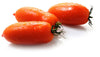 San Marzano Tomatoes 2.5kg / each SOLANIA